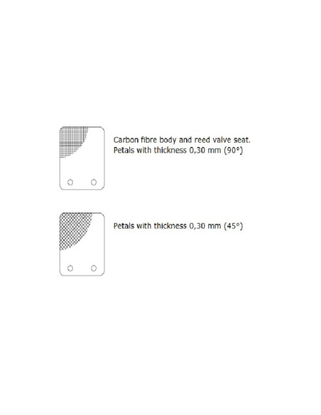 Clapet MALOSSI VL13 pétale carbone 0,30mm 45° Clapet MALOSSI VL13 pétale carbone 0,30mm 45°