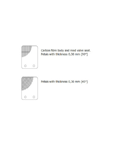 Clapet MALOSSI VL14 pétale carbone 0,30mm 45° Clapet MALOSSI VL14 pétale carbone 0,30mm 45°