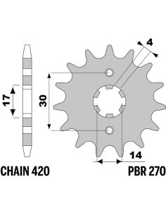 Pignon PBR acier standard 270 - 420 2
