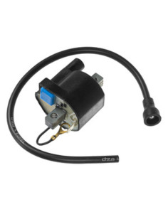 Bobine d'allumage DZE - 10047 2