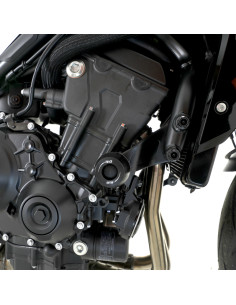 Tampons de protection R&G RACING Apex 2