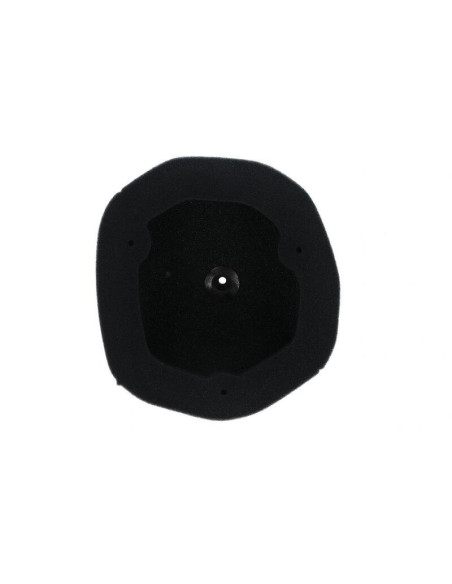 Filtre à air TWIN AIR pré-huilé résistant au feu pour kit Powerflow