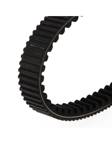 TECNIUM Courroie CVT EliteGrip