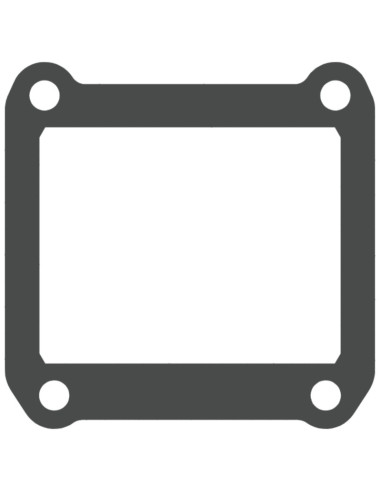 Joints de clapet V-FORCE - jeu de 2 joints