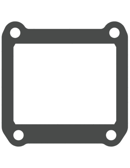 Joints de clapet V-FORCE - jeu de 2 joints