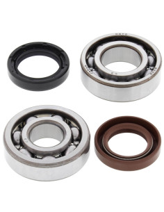 Kit roulements et joints spi de vilebrequin ALL BALLS 2