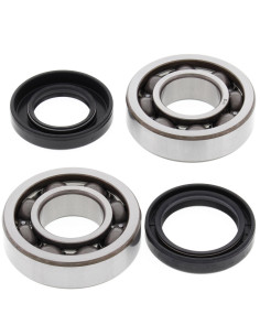 Kit roulements et joints spi de vilebrequin ALL BALLS 2