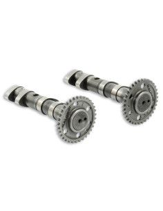 Arbre a cames MALOSSI Double Power - Yamaha T-Max 530