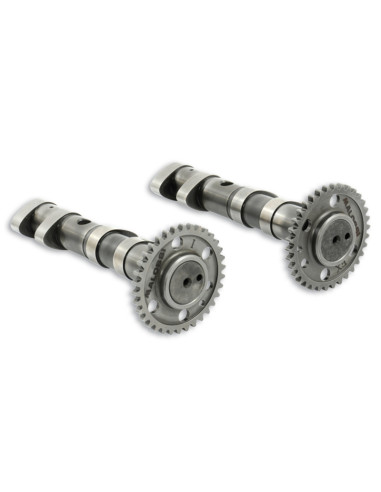 Arbre a cames MALOSSI Double Power - Yamaha T-Max 530