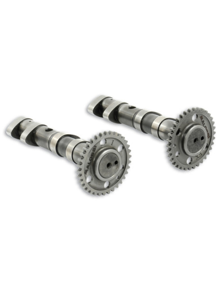Arbre a cames MALOSSI Double Power - Yamaha T-Max 530