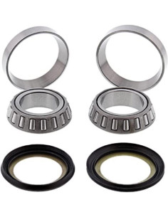 Kit roulements de colonne de direction ALL BALLS 2