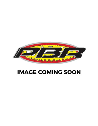 Couronne PBR acier standard - 521