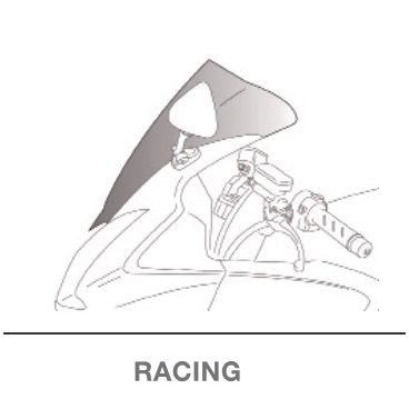 Bulle racing PUIG pour KAWASAKI ZX-12R 02 - 06