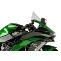 Ailerons Downforce pour KAWASAKI H2 SX 2019 vert