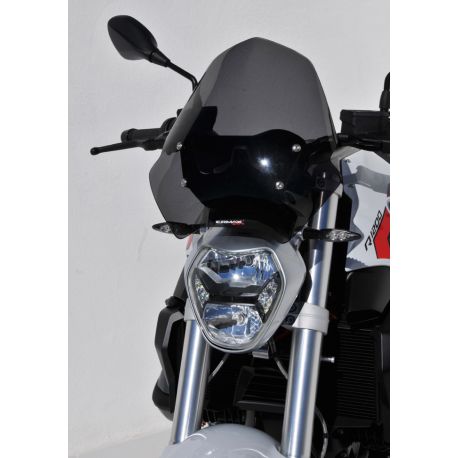 Saute vent ERMAX BMW R1200 R 2015 2018