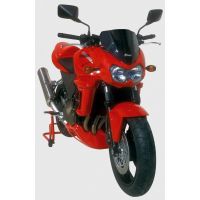 BULLE ERMAX TAILLE ORIGINE POUR KAWASAKI Z 750 2004/2006 2