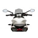 Saute vent Naked new generation sport Triumph street trples S vue du pilote