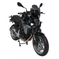 Saute vent SPORT ERMAX pour BMW F900R 2