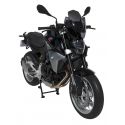 Saute vent SPORT ERMAX pour BMW F900R profile