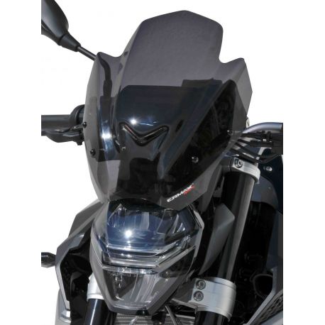 Saute vent SPORT ERMAX pour BMW F900R