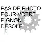Kit chaine AFAM acier KAWASAKI KFX 300 pas 520 2004 à 2004