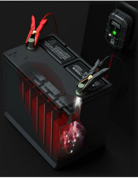 Pack promotionnel NOCO Genius1 10 Chargeurs de batteries +1 Gratuit Pack promotionnel NOCO Genius1 10 Chargeurs de batteries +1 Gratuit