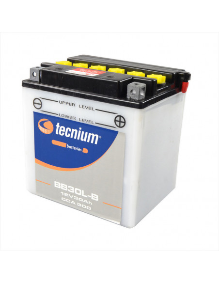 Batterie TECNIUM conventionnelle avec pack acide - BB30L-B Batterie TECNIUM conventionnelle avec pack acide - BB30L-B
