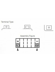 Batterie YUASA Sans entretien avec pack acide - YTX14H-BS 2