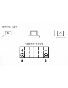 Batterie YUASA W/C sans entretien activé usine - YTZ12S 2