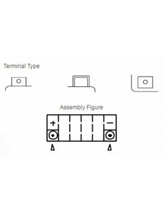 Batterie YUASA Sans entretien avec pack acide - TTZ12S 2