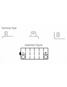 Batterie YUASA conventionnelle sans pack acide - Y60-N24L-A 2