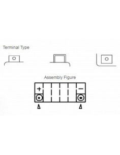 Batterie YUASA Sans entretien avec pack acide - TTZ14S 2