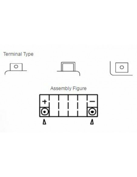 Batterie YUASA Sans entretien avec pack acide - TTZ14S