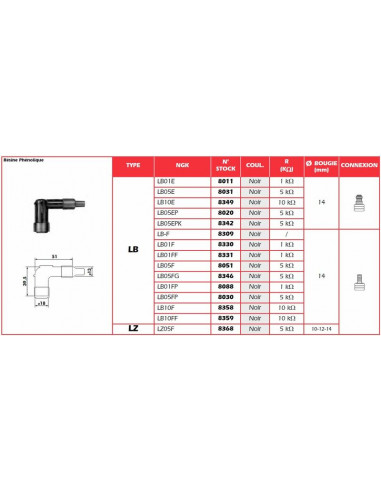 Anti-parasite NGK - LB05EPK