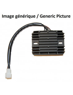 Régulateur ELECTROSPORT - Honda CBF1000