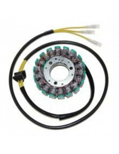 Stator ELECTROSPORT - Suzuki GS650