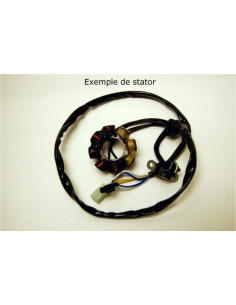 Stator ELECTROSPORT - Suzuki RM125/250