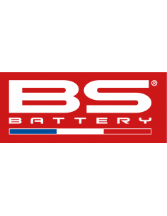 Logo BS BATTERY