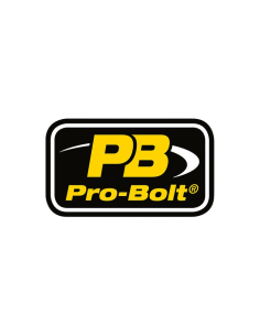 Logo Pro-Bolt